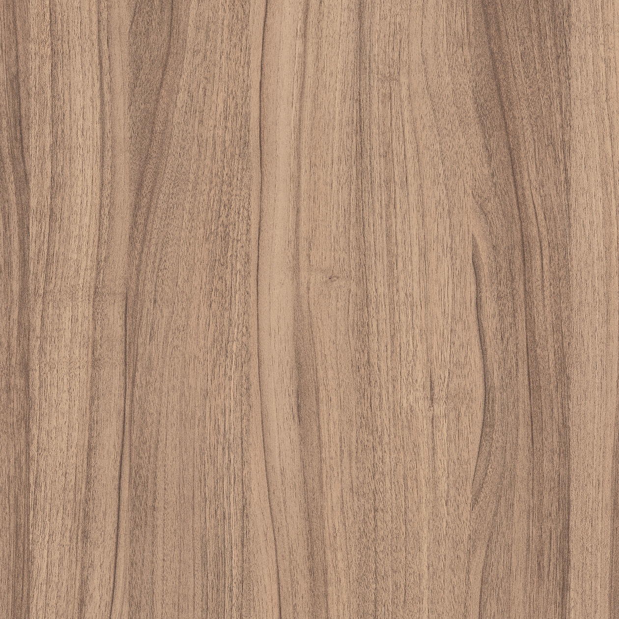 Acoustic Textile Panels